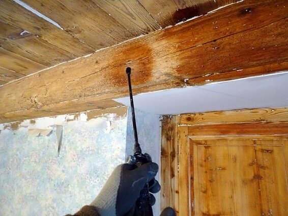 Traitement de termites charpente couvreur Angoulême