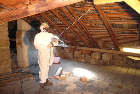 Traitement de termites charpente couvreur Angoulême
